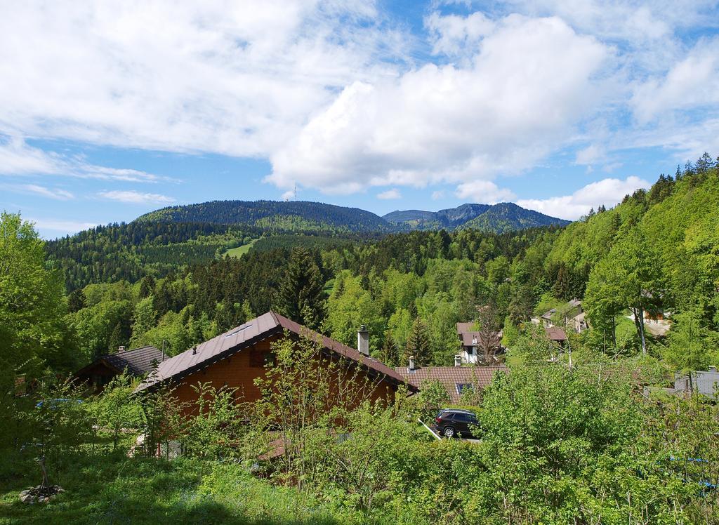 Chalet Ott - Apartment In The Mountains With Sauna Saint-Cergue Room photo